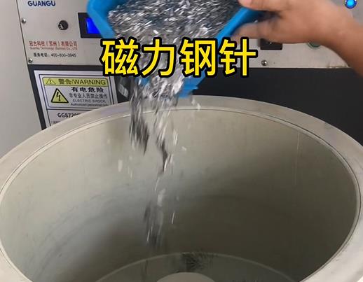 文成不锈钢箍用钢针